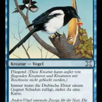 Diebische Elster kaufen - Tenth Edition bei TcG Love