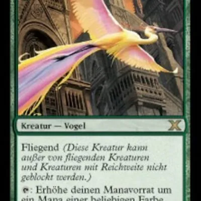 Paradiesvögel kaufen - Tenth Edition bei TcG Love