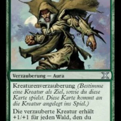 Bleichholzrüstung kaufen - Tenth Edition bei TcG Love