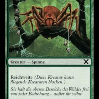 Baldachinspinne kaufen - Tenth Edition bei TcG Love