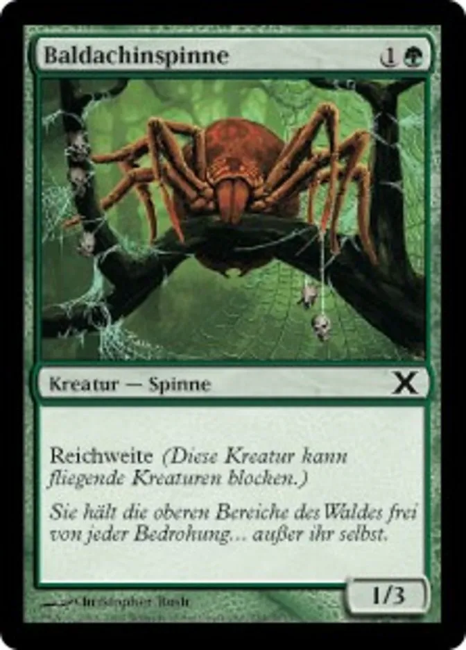 Baldachinspinne kaufen - Tenth Edition bei TcG Love