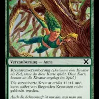 Baumwipfelarmreife kaufen - Tenth Edition bei TcG Love