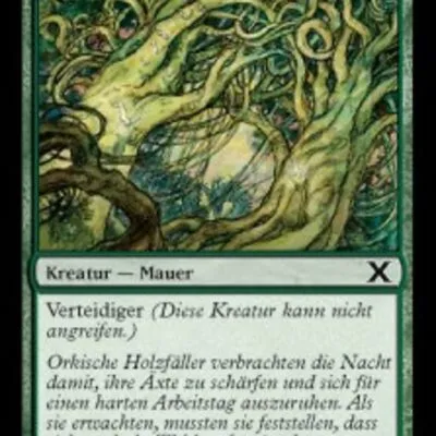 Holzmauer kaufen - Tenth Edition bei TcG Love