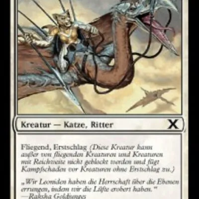 Himmeljäger-Patrouille kaufen - Tenth Edition bei TcG Love
