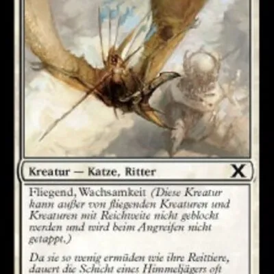 Himmeljäger-Streife kaufen - Tenth Edition bei TcG Love