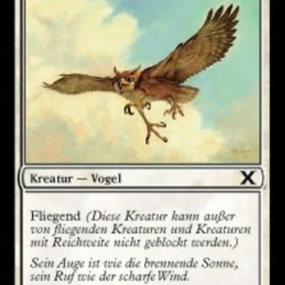 Sonnenschwanz-Falke kaufen - Tenth Edition bei TcG Love