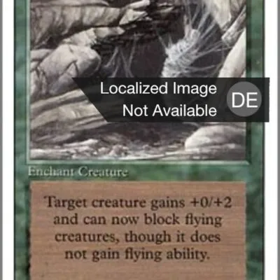 Spinnennetz kaufen - Revised Edition bei TcG Love