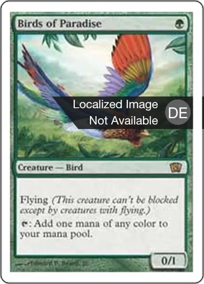 Paradiesvögel kaufen - Eighth Edition bei TcG Love