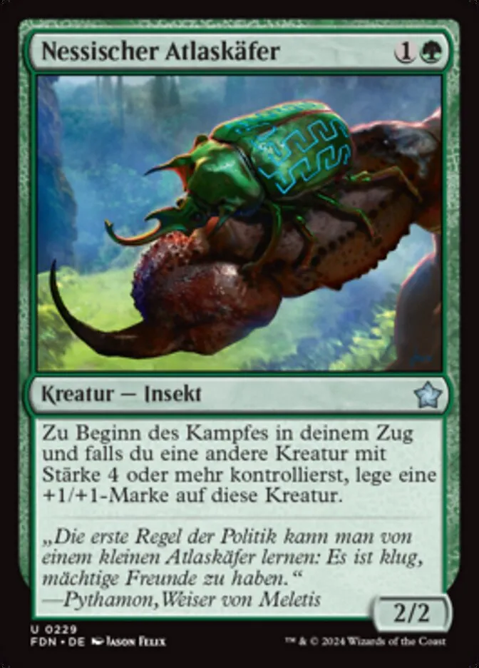 Nessischer Atlaskäfer kaufen - Foundations bei TcG Love