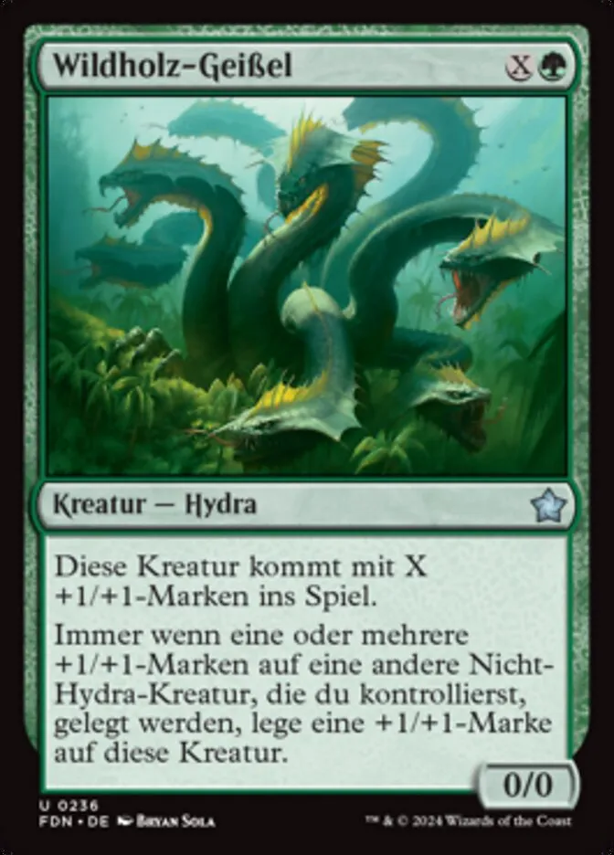Wildholz-Geißel kaufen - Foundations bei TcG Love