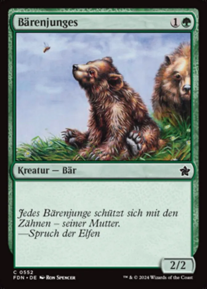 Bärenjunges kaufen - Foundations bei TcG Love