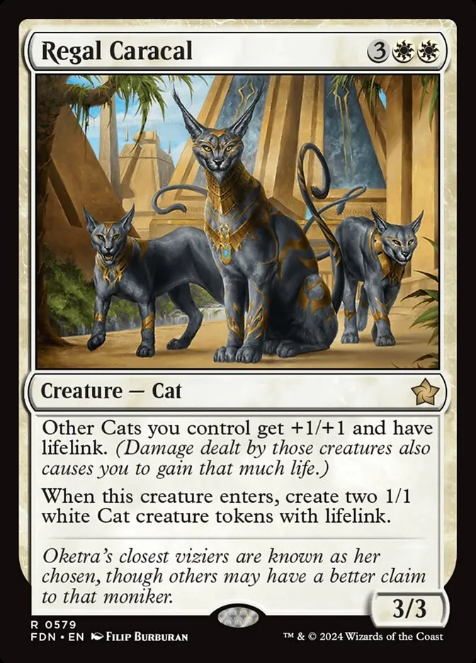 Regal Caracal kaufen - Foundations bei TcG Love