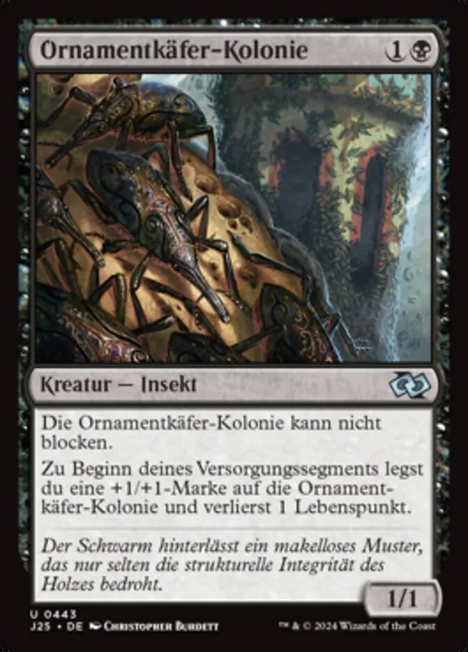 Ornamentkäfer-Kolonie kaufen - Foundations Jumpstart bei TcG Love