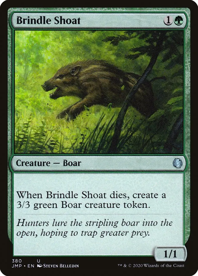 Brindle Shoat kaufen - Jumpstart bei TcG Love