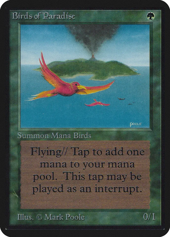 LEA-186-Birds-of-Paradise Birds of Paradise kaufen - Limited Edition Alpha bei TcG Love