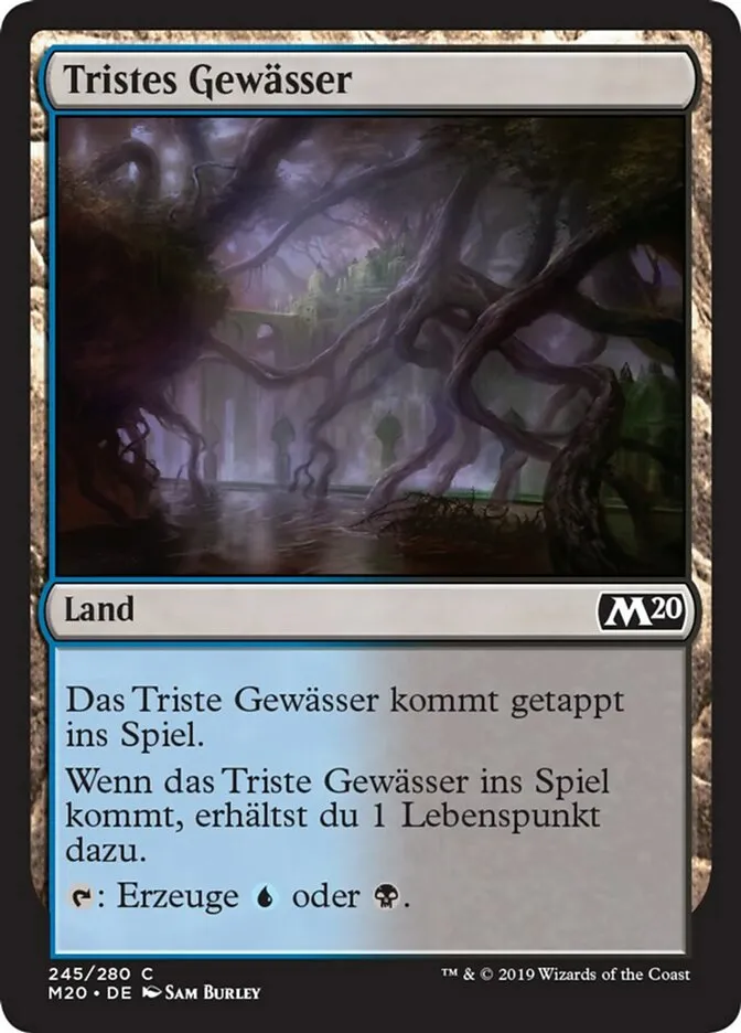 M20-245-Tristes-Gew-sser-de Tristes Gewässer kaufen - Core Set 2020 bei TcG Love
