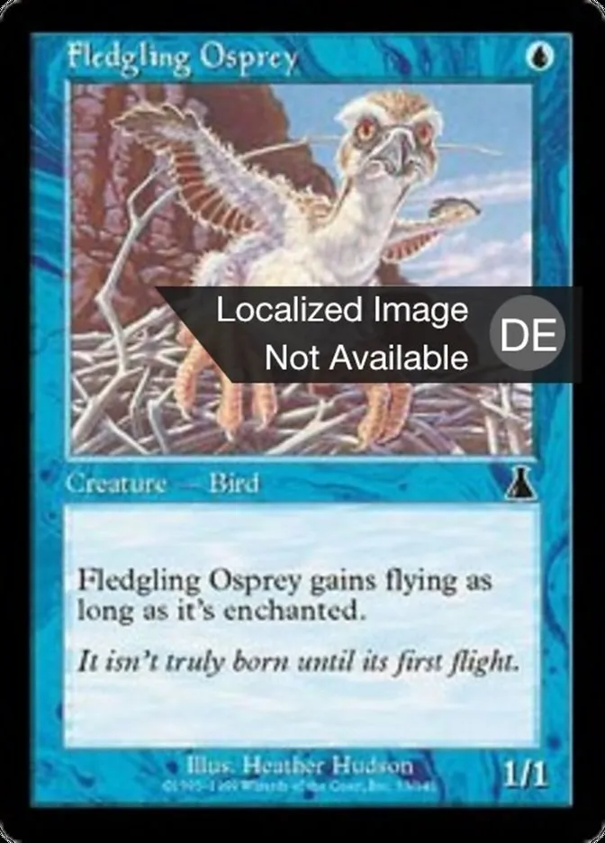 Junger Fischadler kaufen - Urza's Destiny bei TcG Love